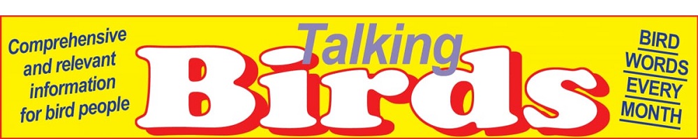Talking Birds